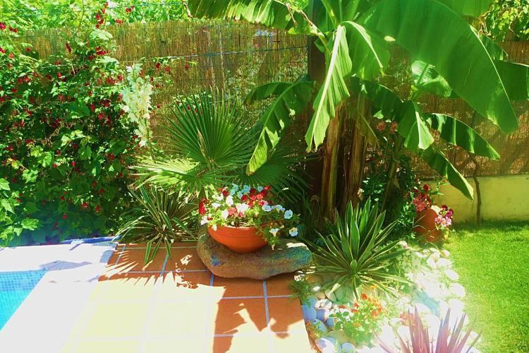 Casa Da Pedrosa Bed & Breakfast Ponte de Lima Exterior photo